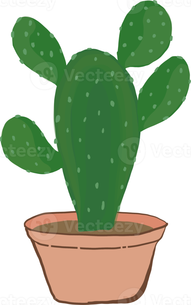 estilo de dibujo a mano de plantas en maceta. png