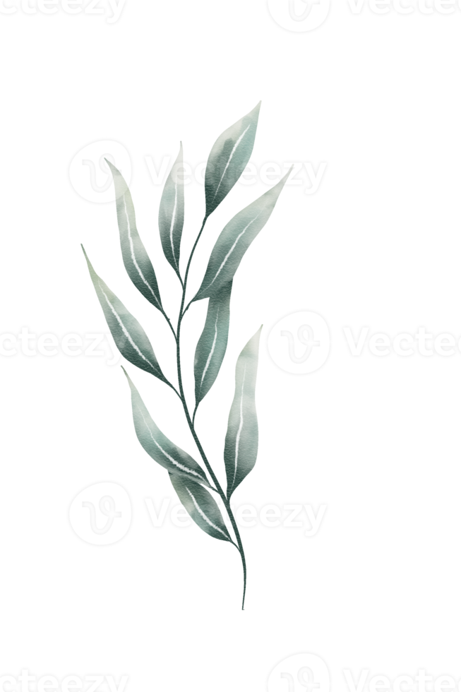 groen waterverf bladeren png