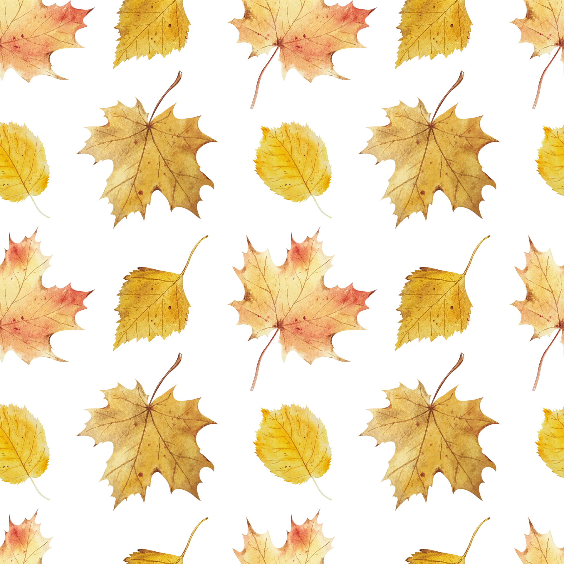 Watercolor autumn leaves pattern 11660713 PNG