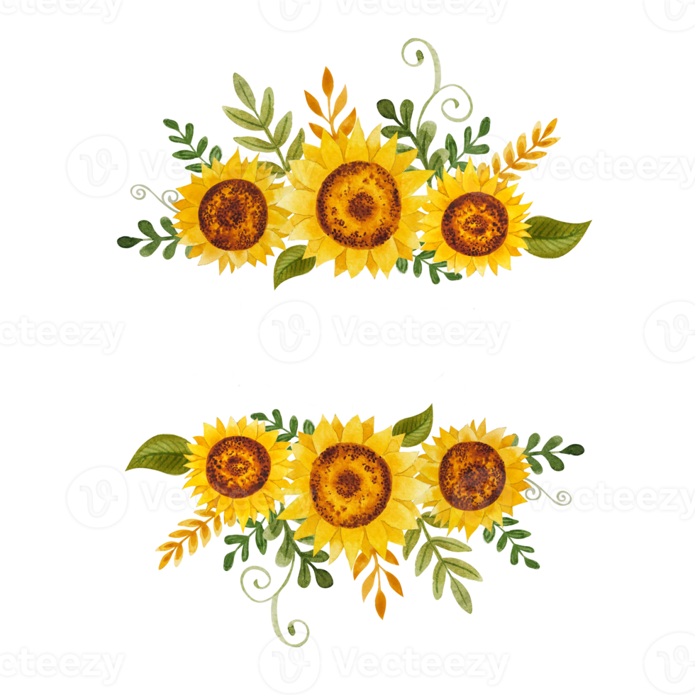 acquerello girasoli telaio png