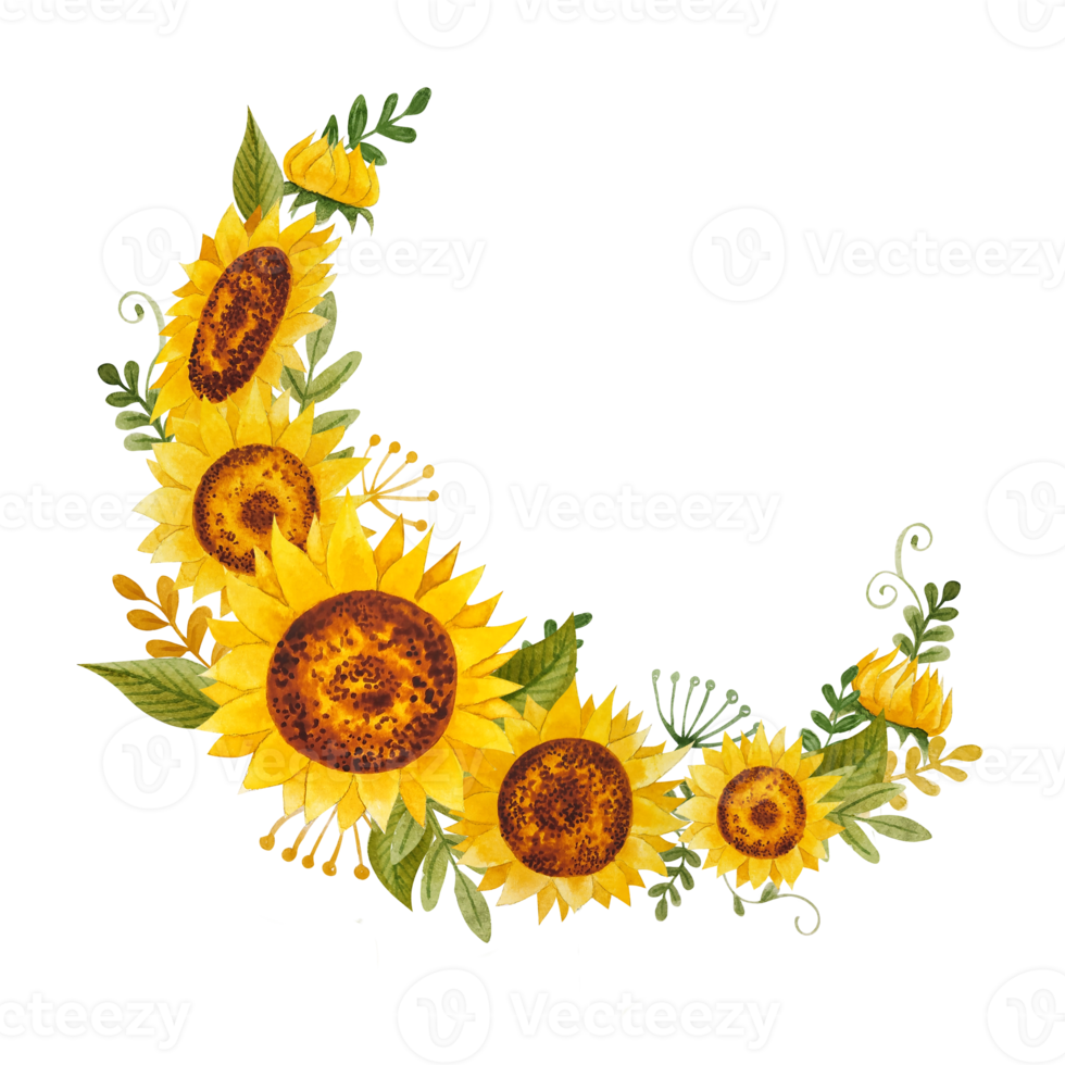 acquerello girasoli mazzi di fiori png