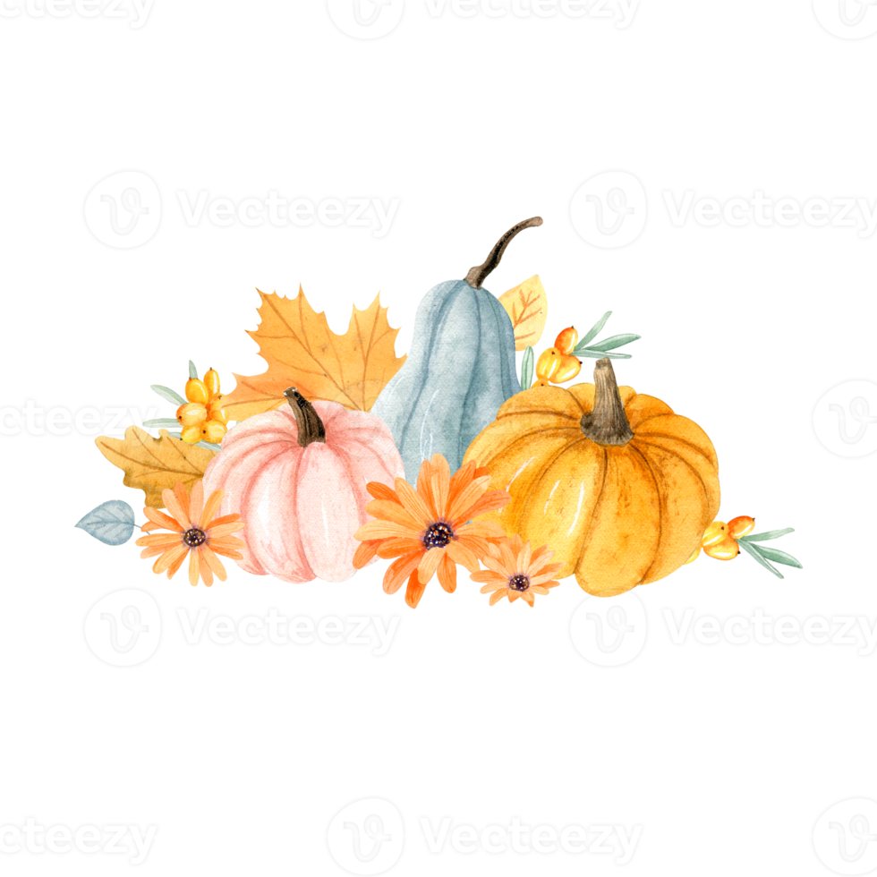 Watercolor autumn pumpkin arrangement png