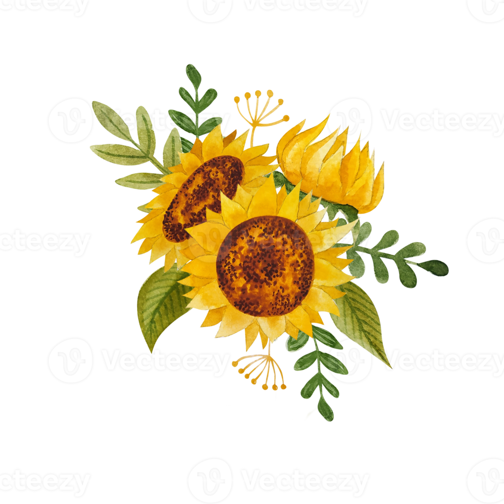 Free arreglo de girasoles en acuarela 11660744 PNG with Transparent