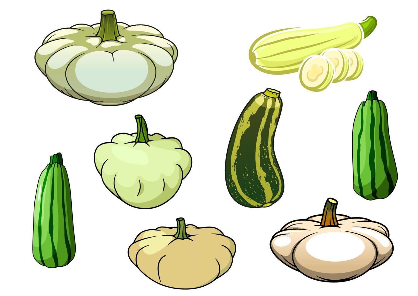 Pumpkin, zucchini and pattypan squash vector