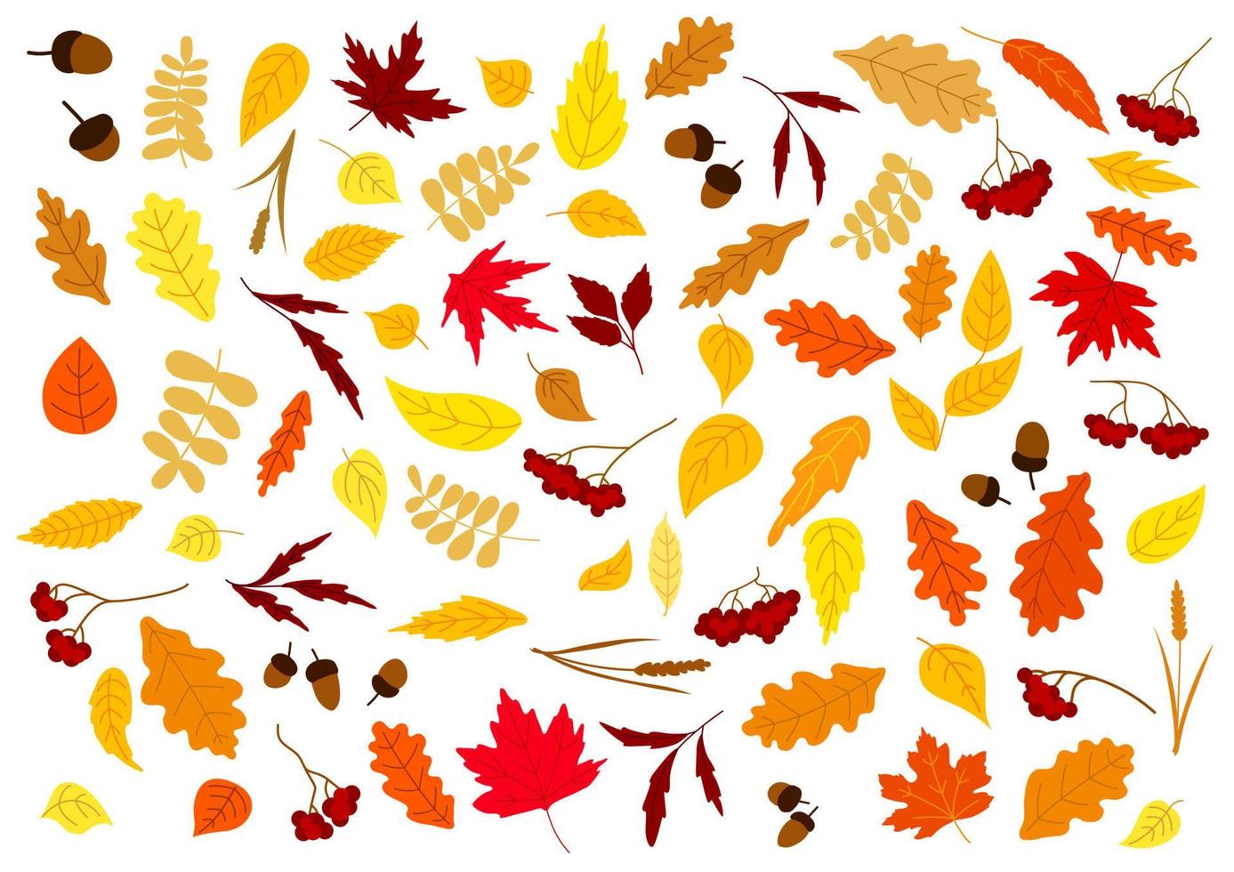 hojas de otoño, hierbas, bayas y bellotas vector