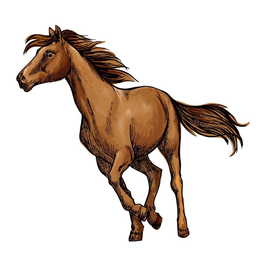 Running horse sketch with brown racehorse vector