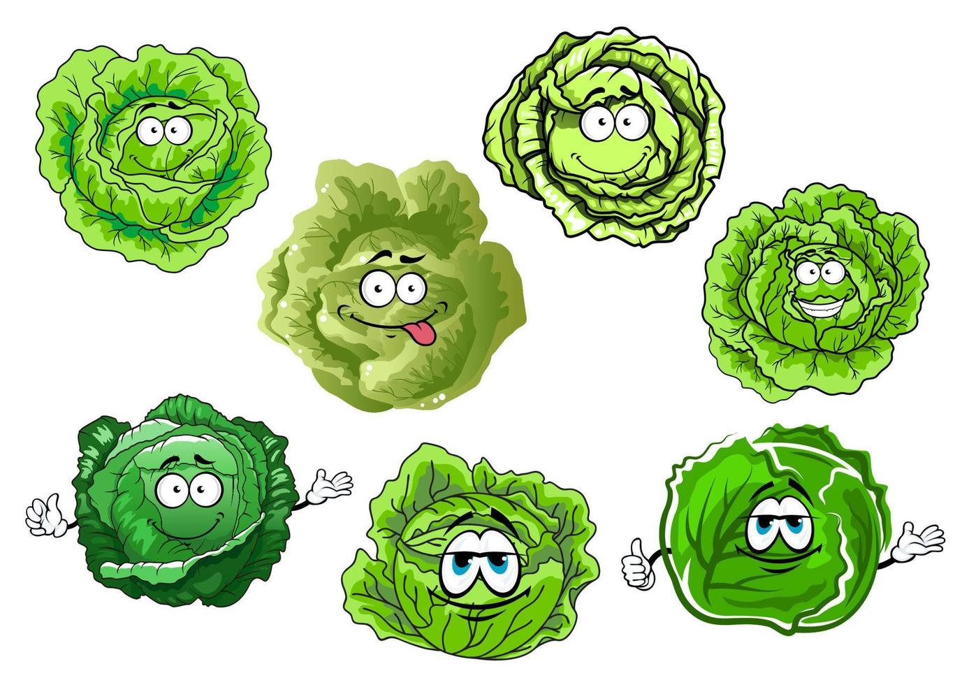 Cartoon crunchy green cabbage vegetables vector