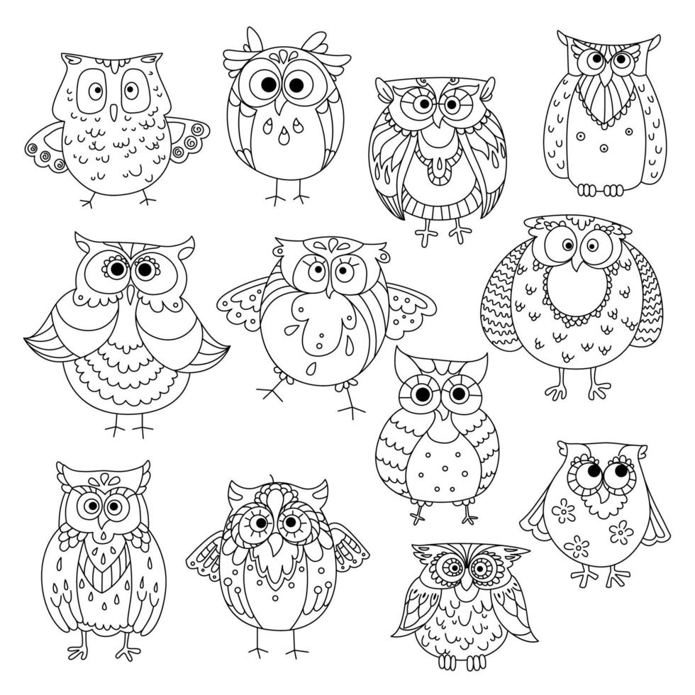 Funny owls and young owlets sketch symbols vector