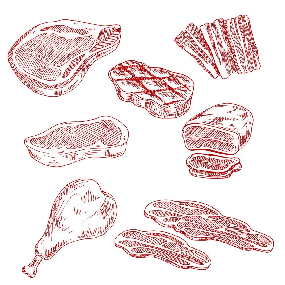 Bacon, beef, pork and chicken meat vector