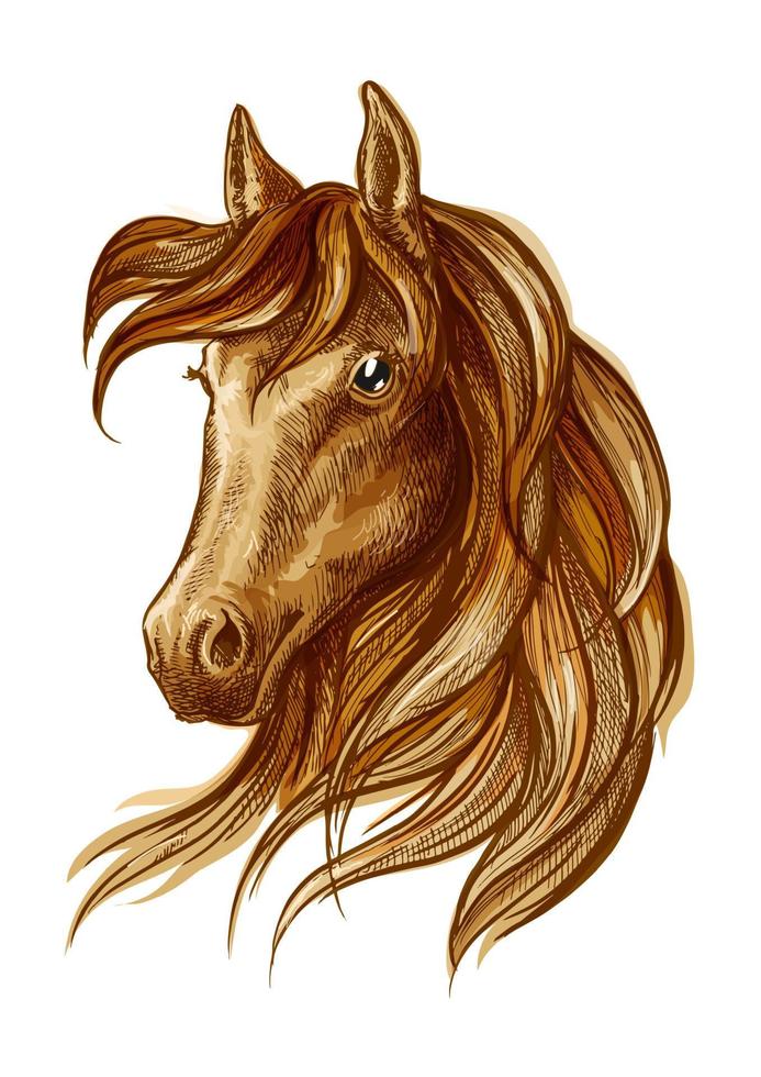Brown stallion horse icon for equestrian design vector