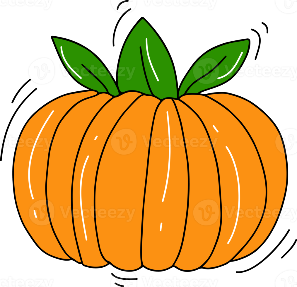 Pumpkin cartoon doodle png
