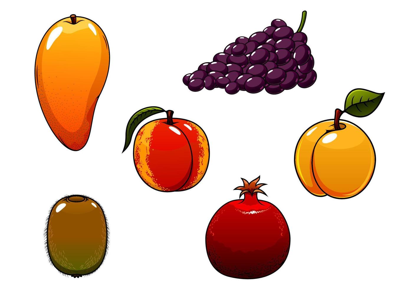 Juicy and sweet isolated fresh fruits set vector