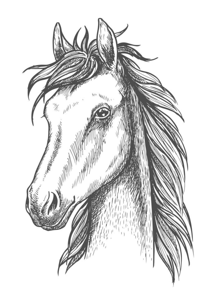 icono de cabeza de caballo esbozado para el diseño de impresión de camisetas vector