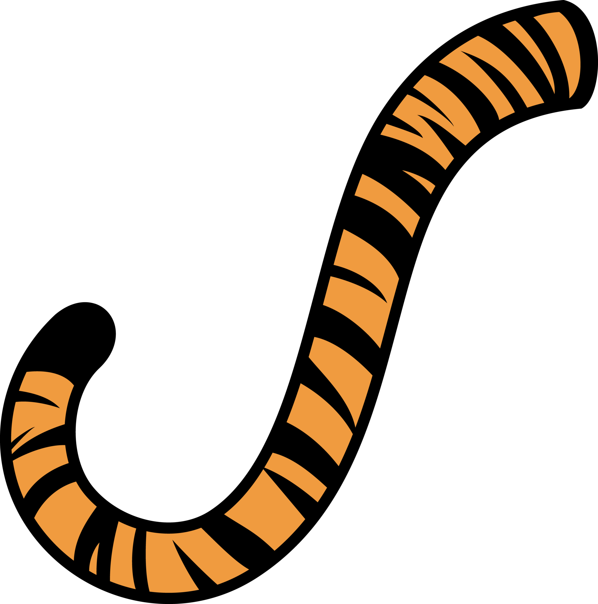 ilustração de rabo de tigre 11662490 PNG