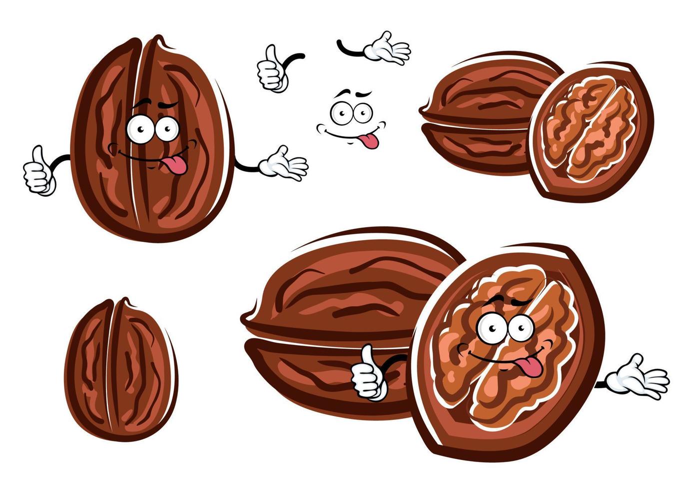 Funny cartoon isolated brown walnuts vector