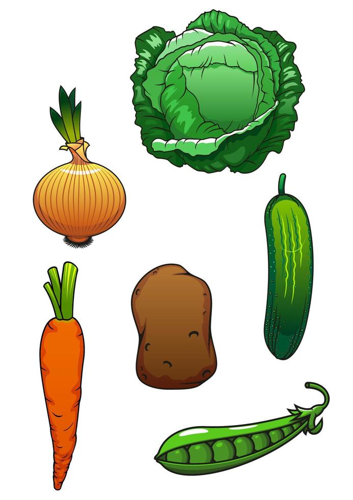 Fresh healthful isolated vegetables vector