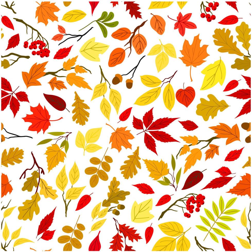 hojas de otoño y bayas fondo transparente vector