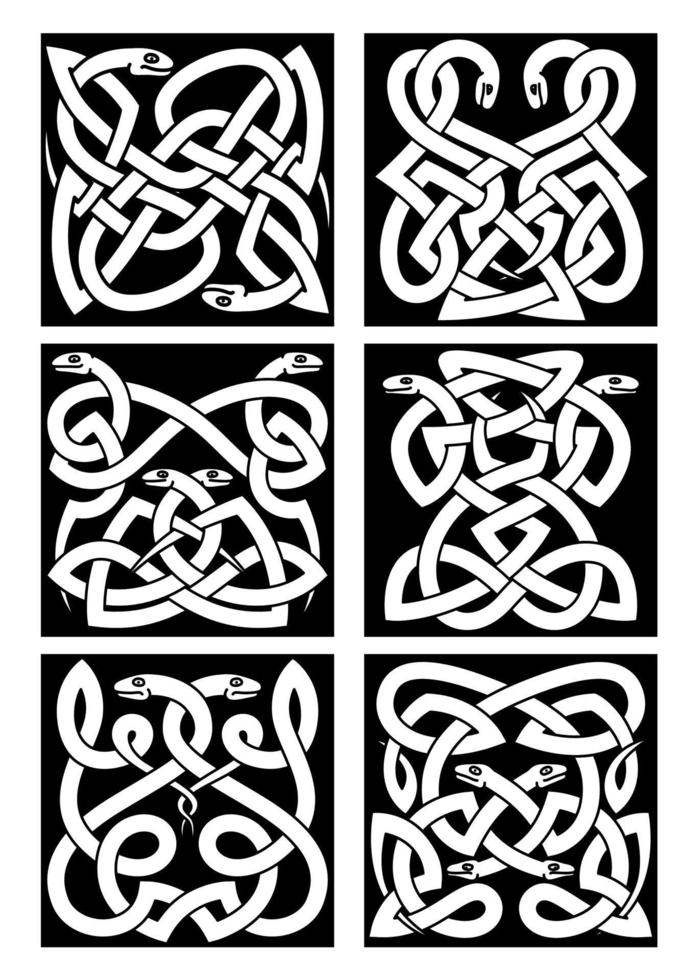 Celtic snakes knot patterns with tribal ornament vector
