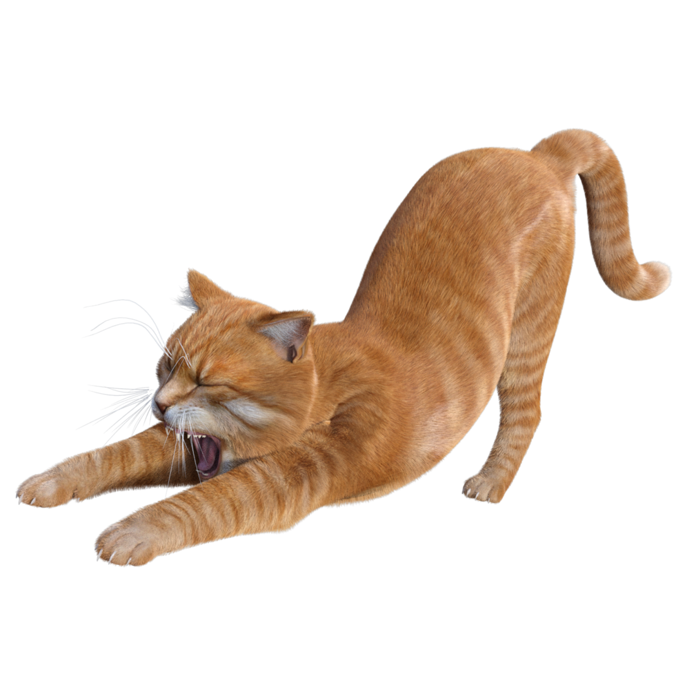 chat mignon rendu 3d png