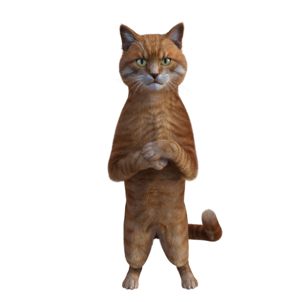 cute cat 3d rendering png