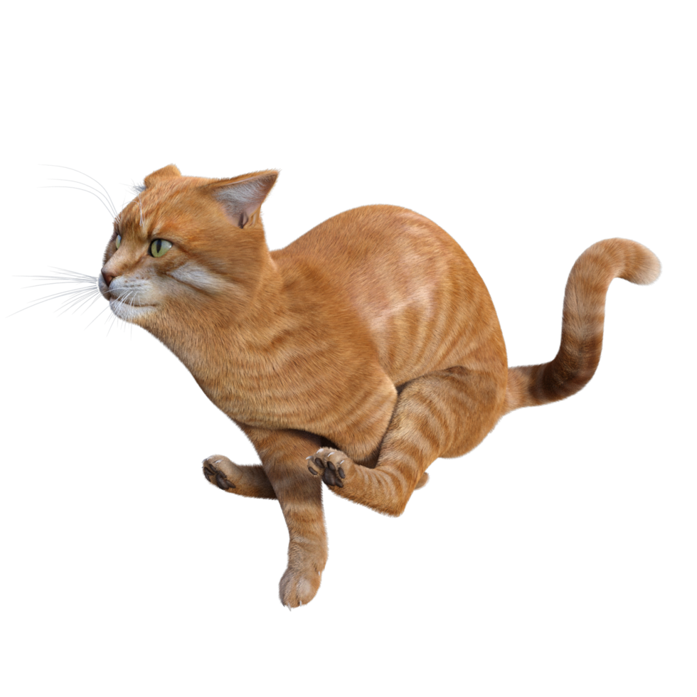 schattig kat 3d renderen png