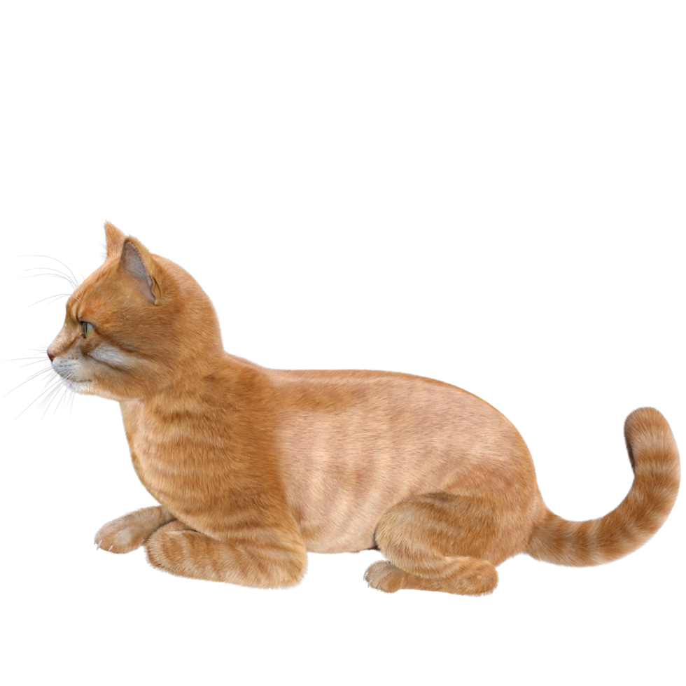 representación 3d del gato lindo png