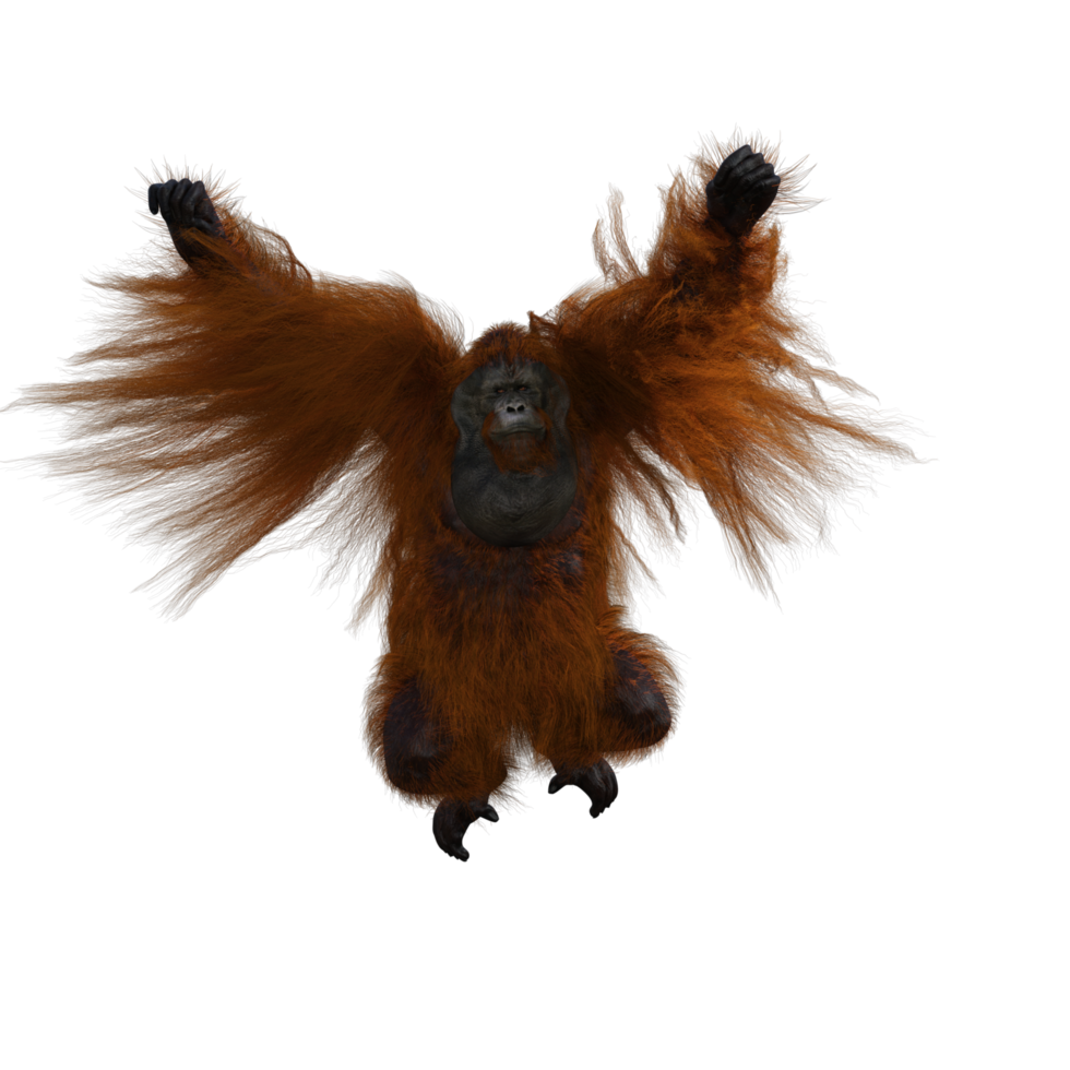 cute orang utan in style png