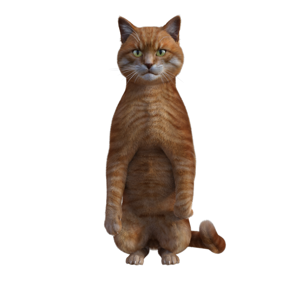 representación 3d del gato lindo png