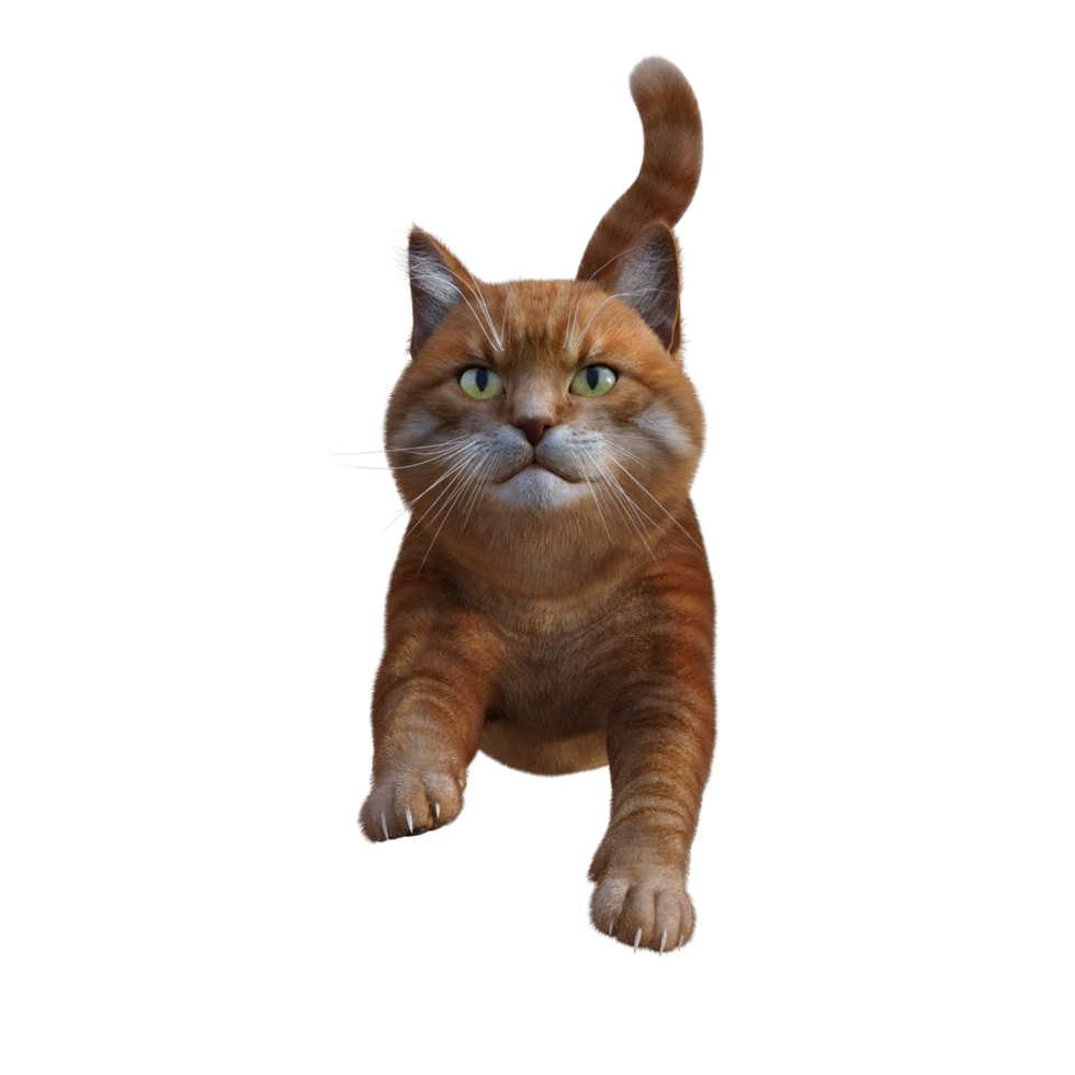 cute cat 3d rendering png