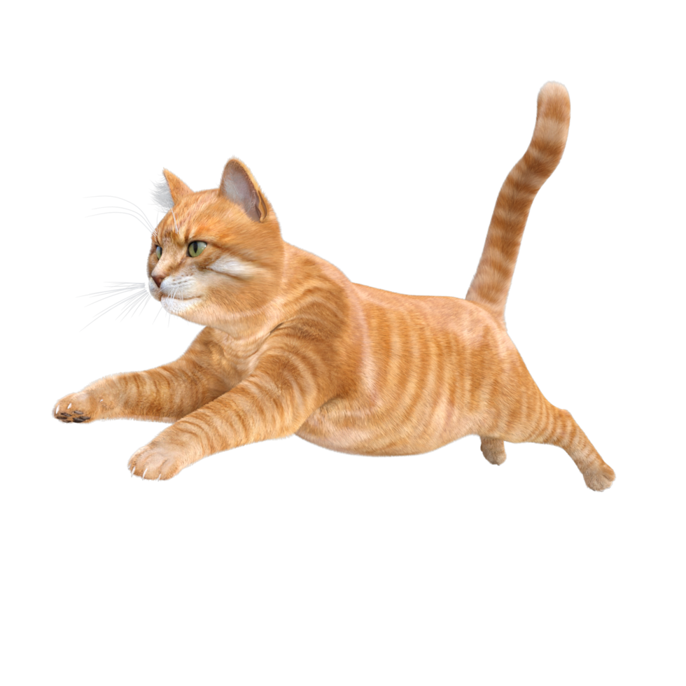 süße Katze 3D-Rendering png