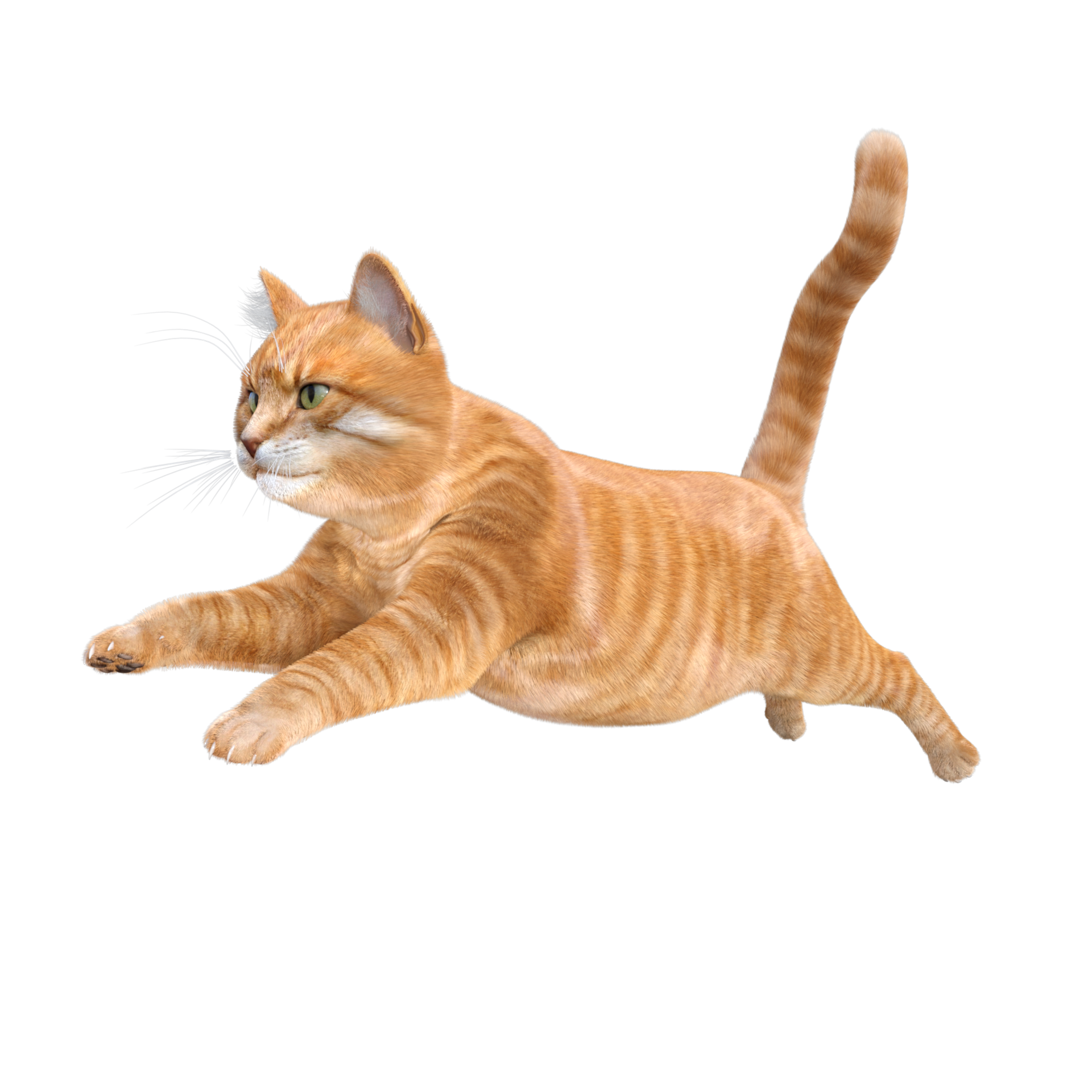 Free cute cat 3d rendering 11662655 PNG with Transparent Background