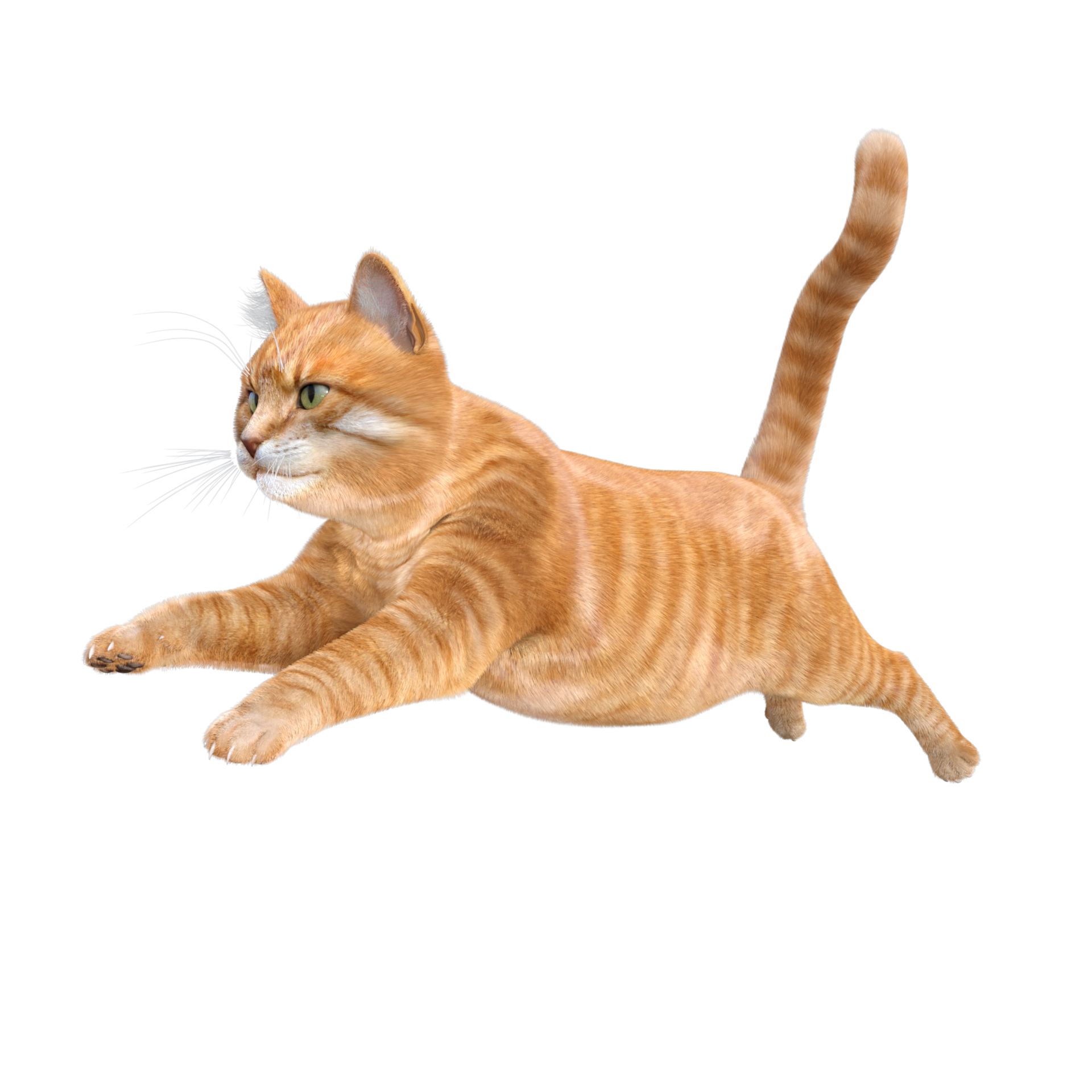 cute cat 3d rendering 11662655 PNG