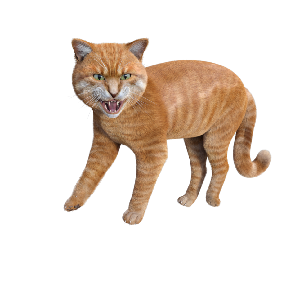 chat mignon rendu 3d png