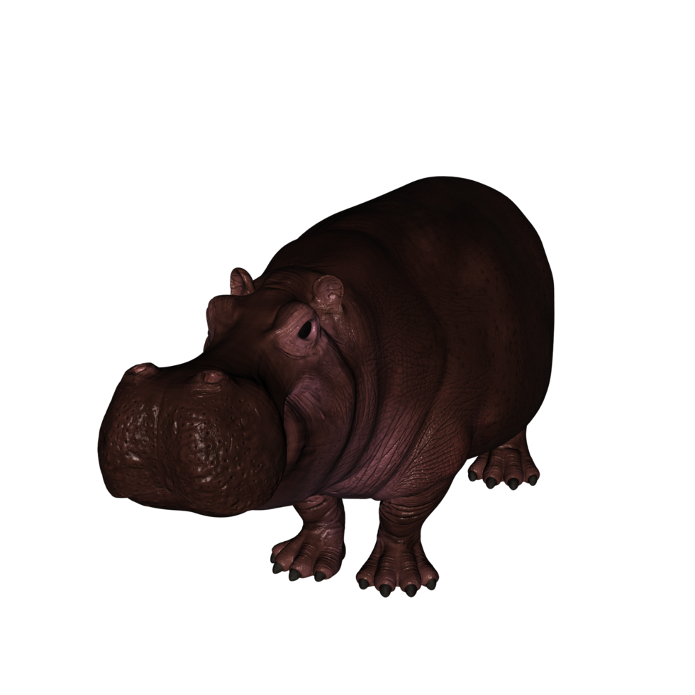 the hippopotamus is posing png