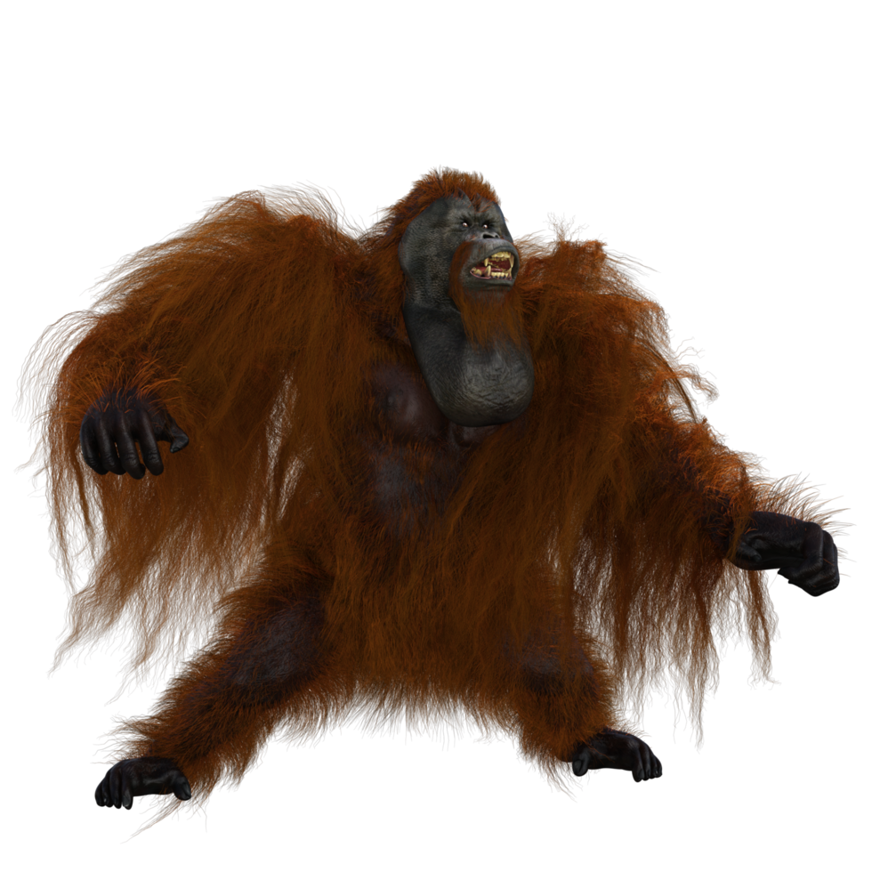 lindo orangután con estilo png