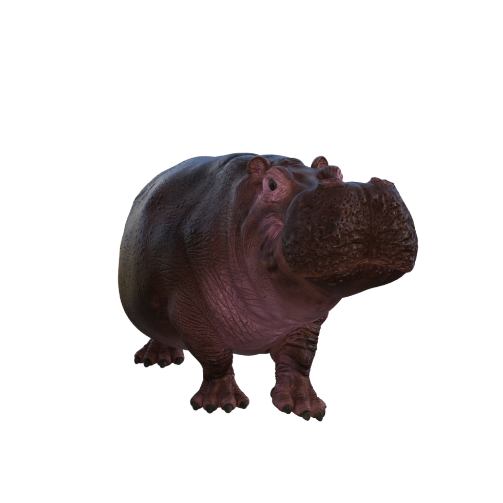 the hippopotamus is posing png