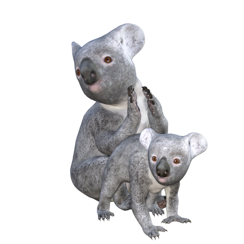 söt koala 3d tolkning png