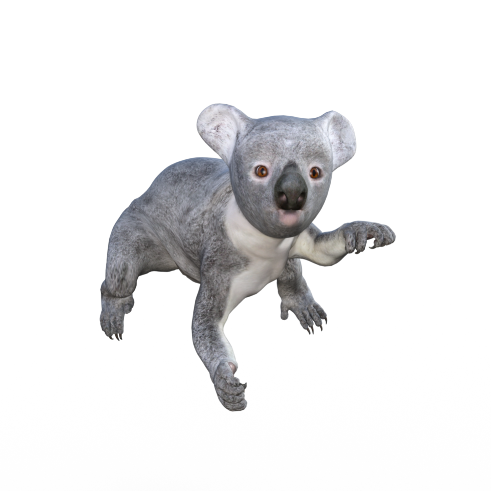 linda representación 3d de koala png