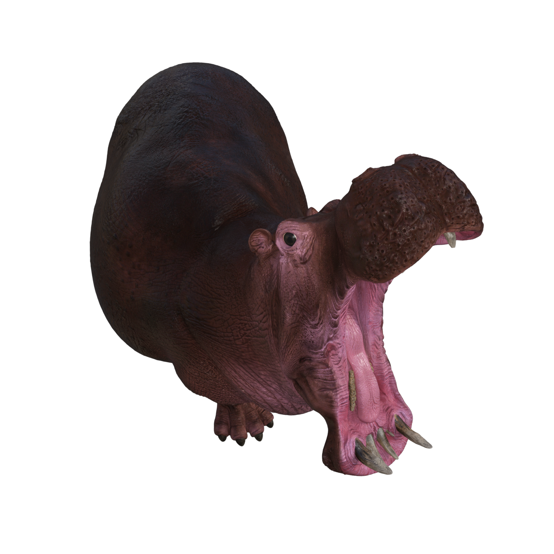 Cute Stuffed Animal 11662705 PNG cute-stuffed-animal-11662705-png