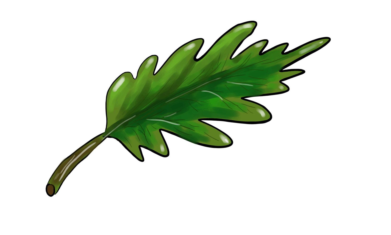 Leaf drawn by hand png