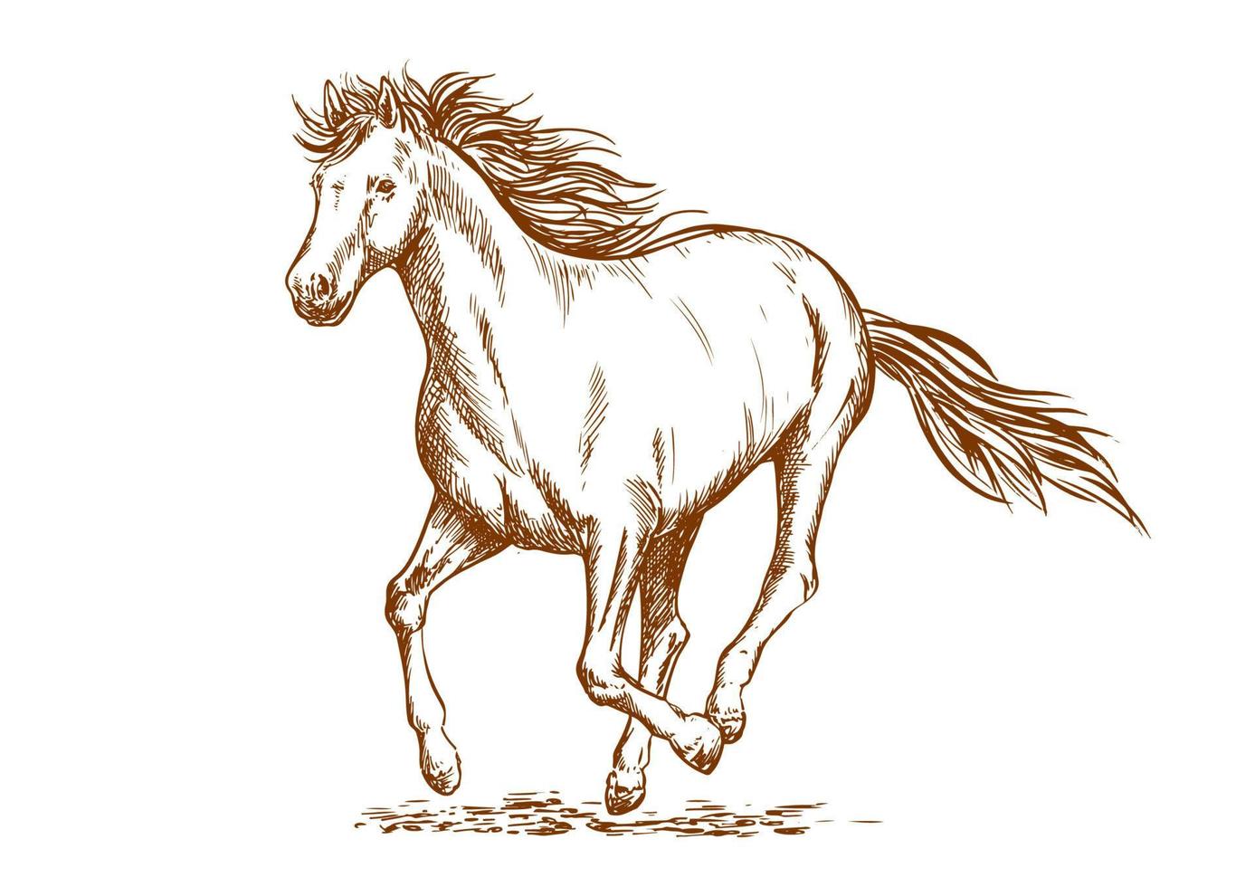 boceto de caballo marrón de yegua árabe vector