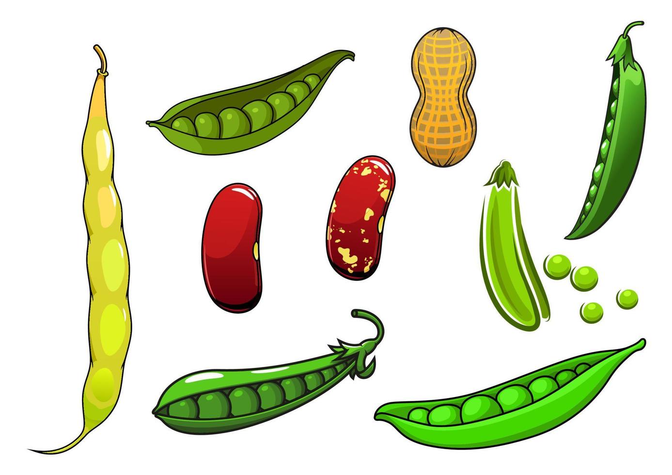 Cartoon fresh legumes and vegetables vector