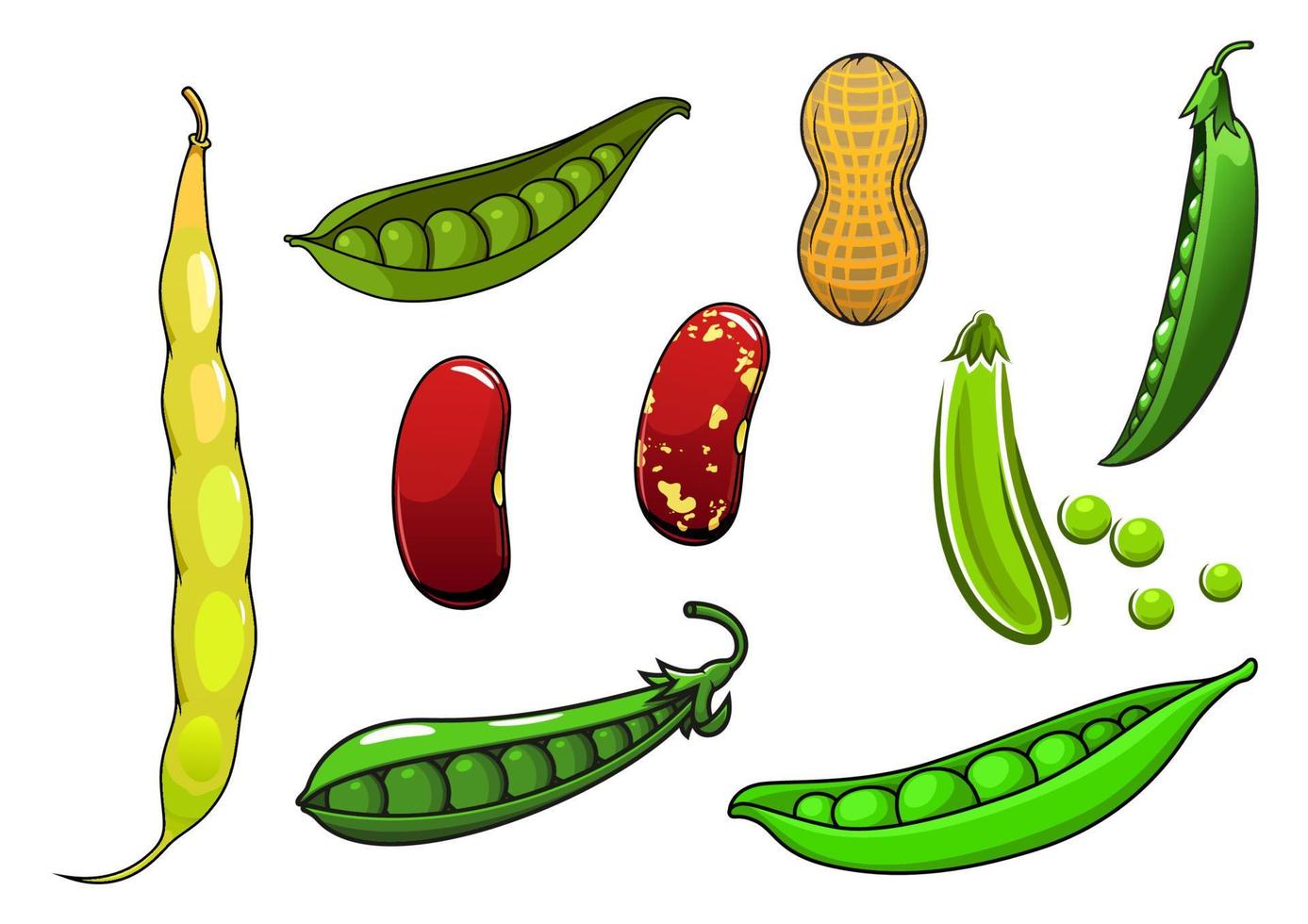 legumbres y verduras frescas de dibujos animados vector