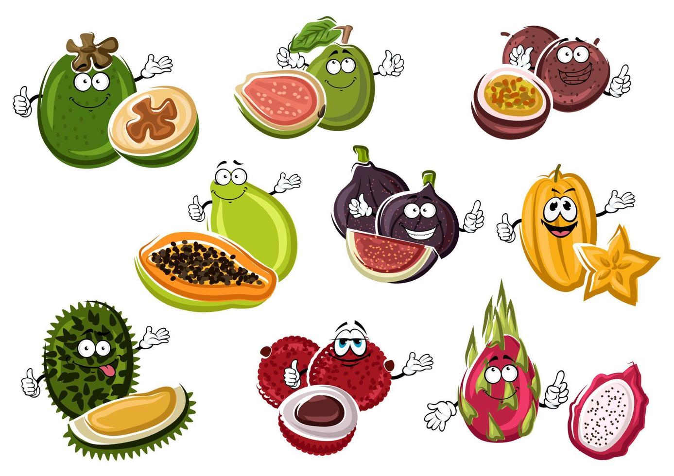 Ripe exotic asian fruits characters vector