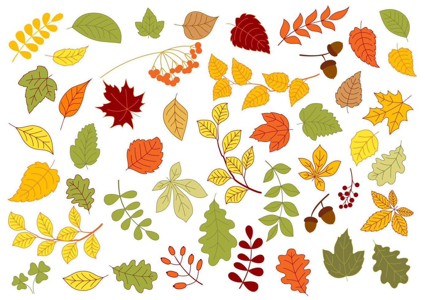 Maple, oak, birch, linden and herbs leaves vector