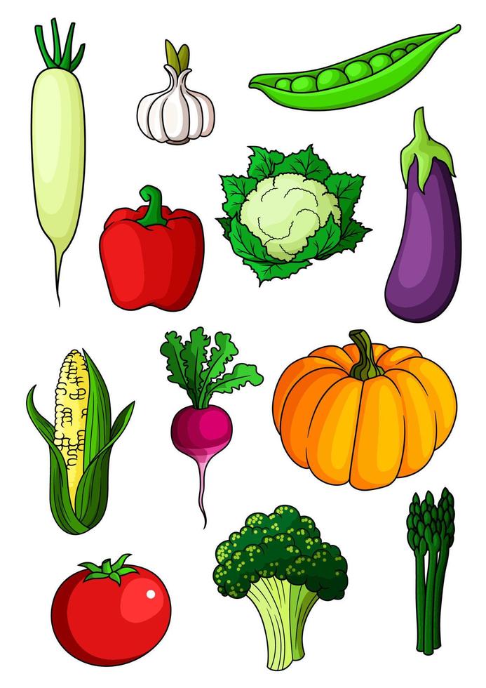 Assorted cartoon ripe vegetables on white vector