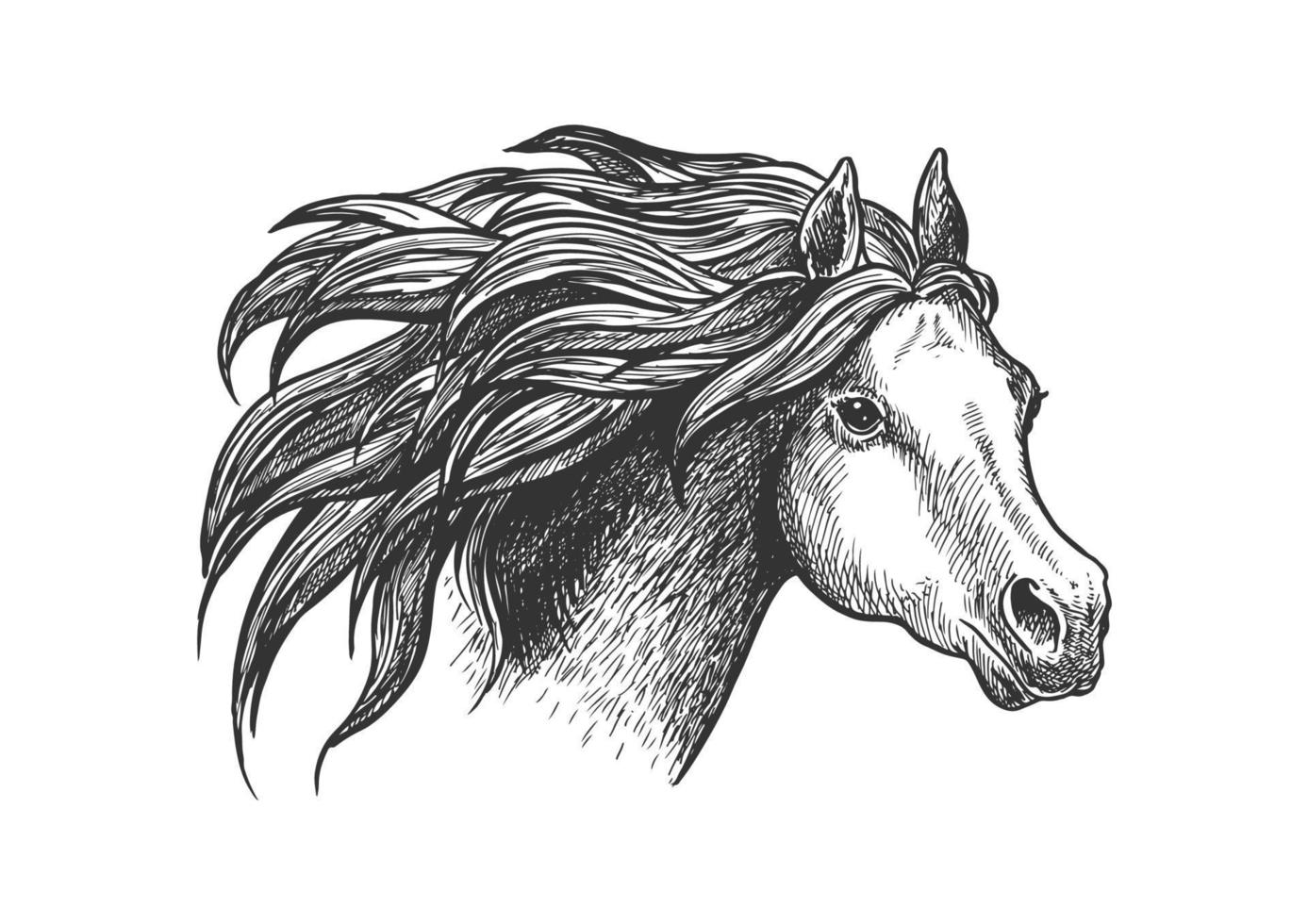 Graceful running appaloosa horse vintage icon vector