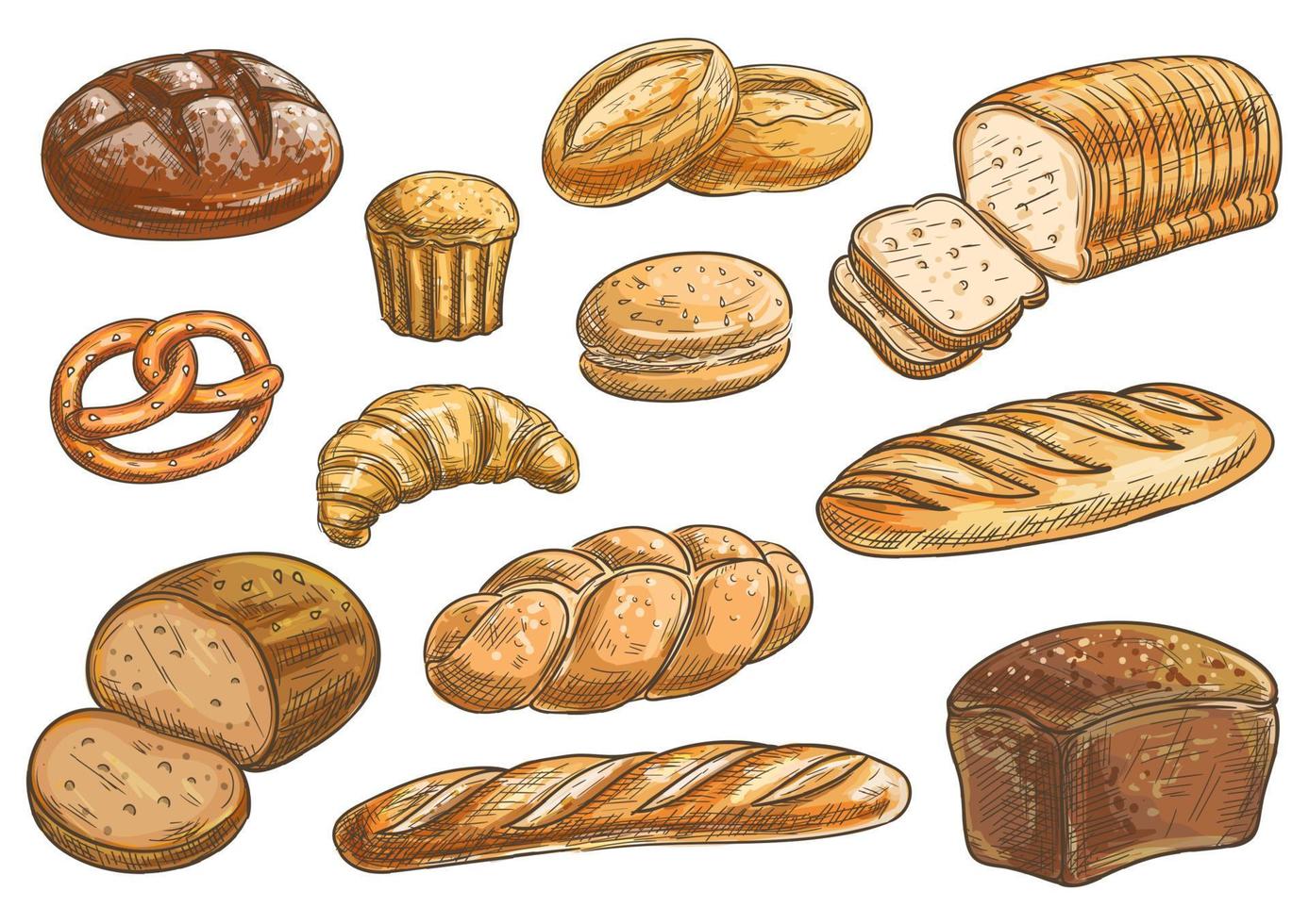tipos de pan e iconos de dibujo a lápiz de panadería vector