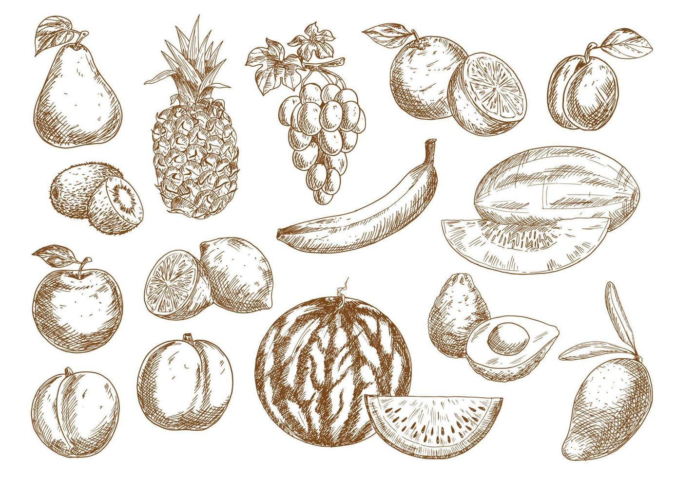 conjunto de bocetos aislados de frutas de granja vector