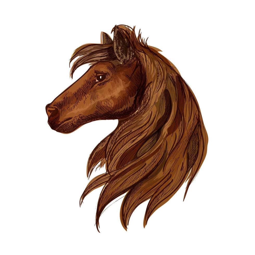 Brown horse head sketch portrait vector